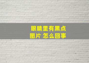 眼睛里有黑点图片 怎么回事